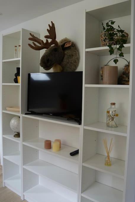 Appartement Renove Dans Le Centre